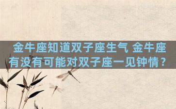 金牛座知道双子座生气 金牛座有没有可能对双子座一见钟情？